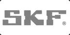SKF Logo